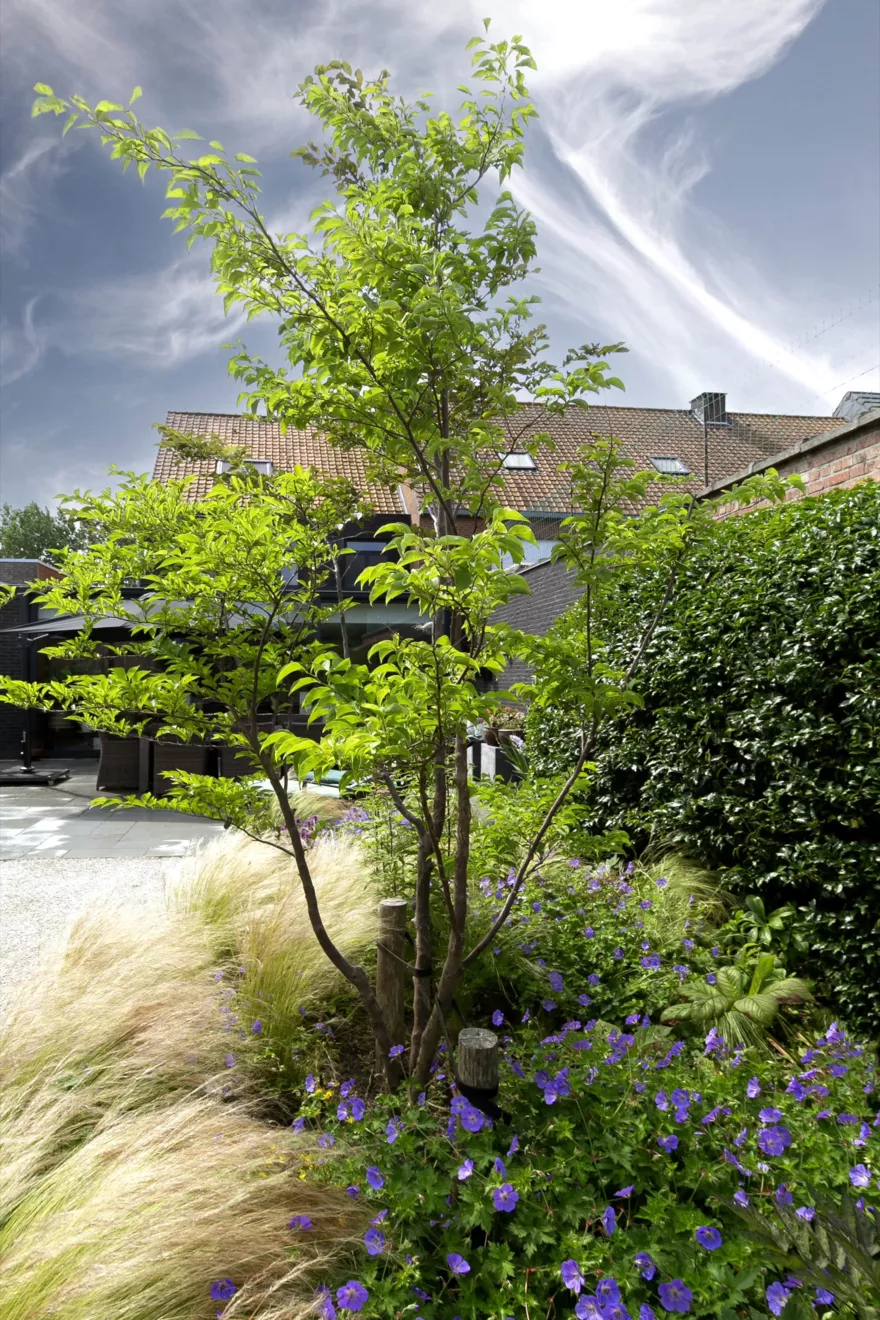 Speelse kusttuin met Dutchborder vol bloemenpracht en tuinberegening te Oostduinkerke (4) -  - Tuinaanleg