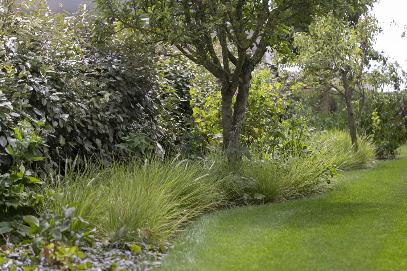 Villatuin te Oostduinkerke met oprit in porfier, uitgewassen beton en kleurrijke borders (5) -  - Tuinaanleg