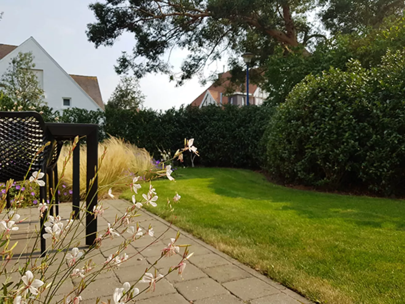 onderhoud_03 -  - Tuinaanleg