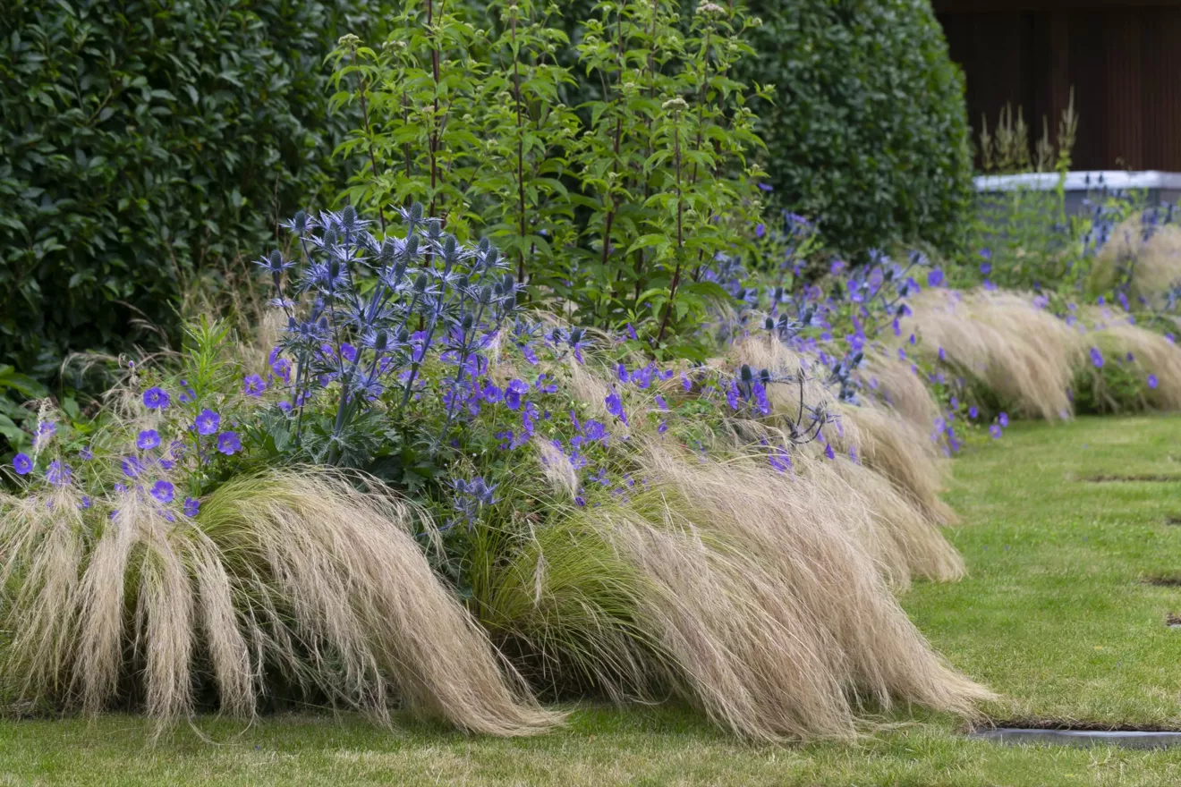 Speelse kusttuin met Dutchborder vol bloemenpracht en tuinberegening te Oostduinkerke (10) -  - Tuinaanleg