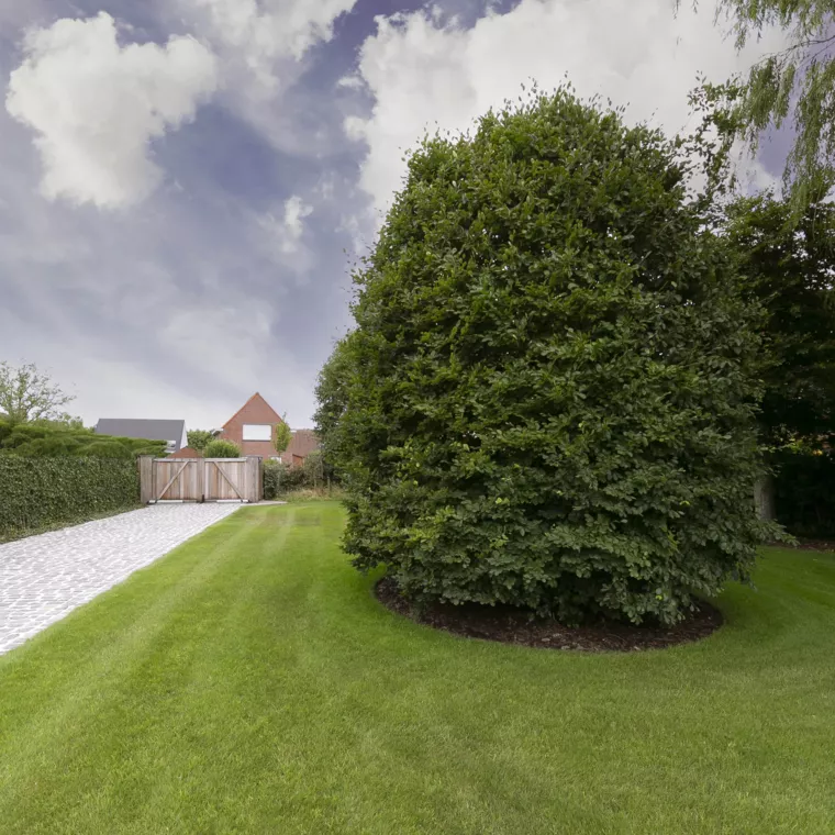 Villatuin te Oostduinkerke met oprit in porfier, uitgewassen beton en kleurrijke borders (2) - 