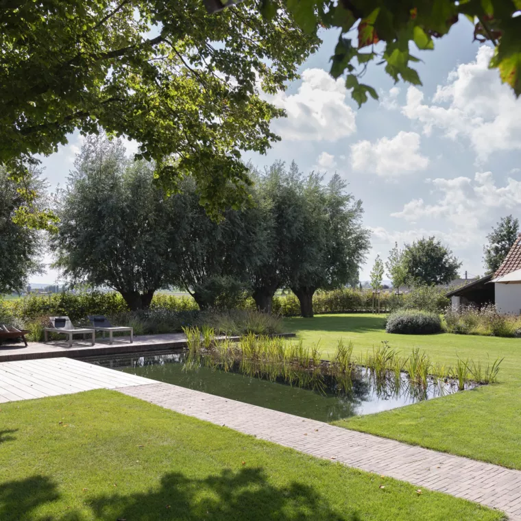 Hoeve met verwarmde zwemvijver en prachtige tuin (9) -  - Zwemvijver