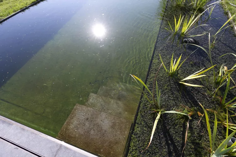 Vijver bij landelijke woning met hoogwaterrand en houten terras (9) - 