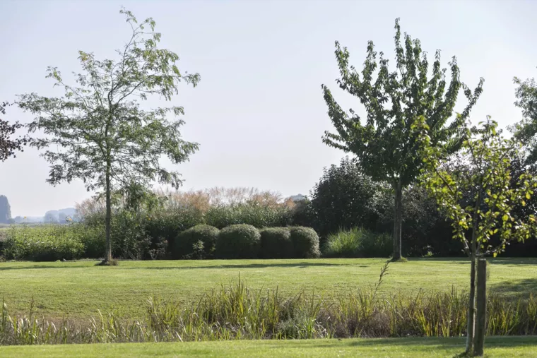 Vijver bij landelijke woning met hoogwaterrand en houten terras (12) - 