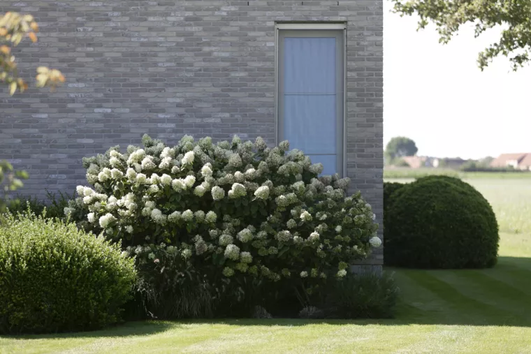 Landelijk gelegen tuin met elegante haagmassieven (1) - 