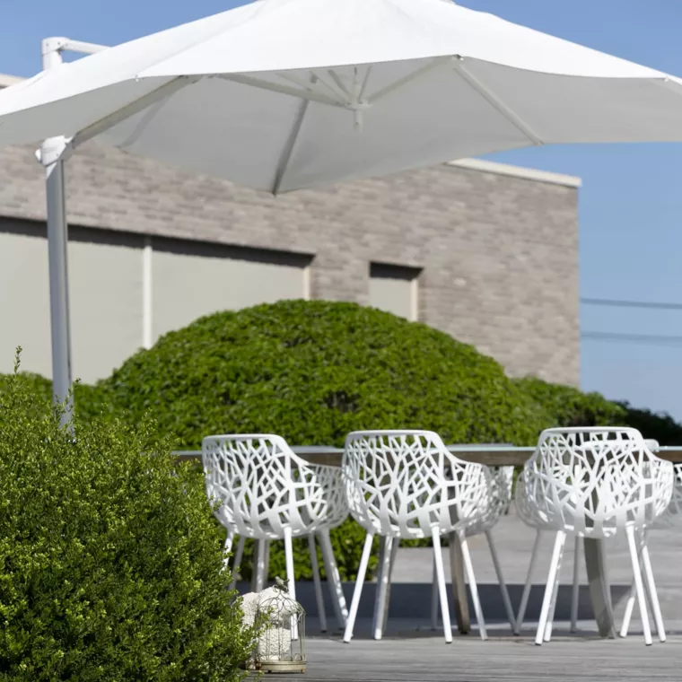 Landelijk gelegen tuin met elegante haagmassieven (38) - 