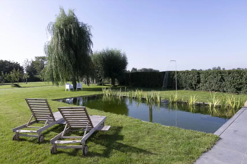 Vijver bij landelijke woning met hoogwaterrand en houten terras (10) -  - Zwemvijver